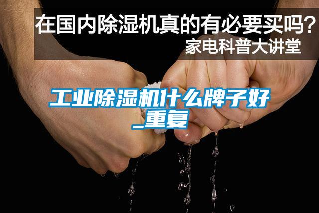 工业草莓视频APP在线观看什么牌子好_重复