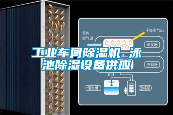 工业车间草莓视频APP在线观看 泳池除湿设备供应