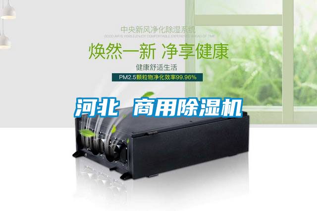河北 商用草莓视频APP在线观看