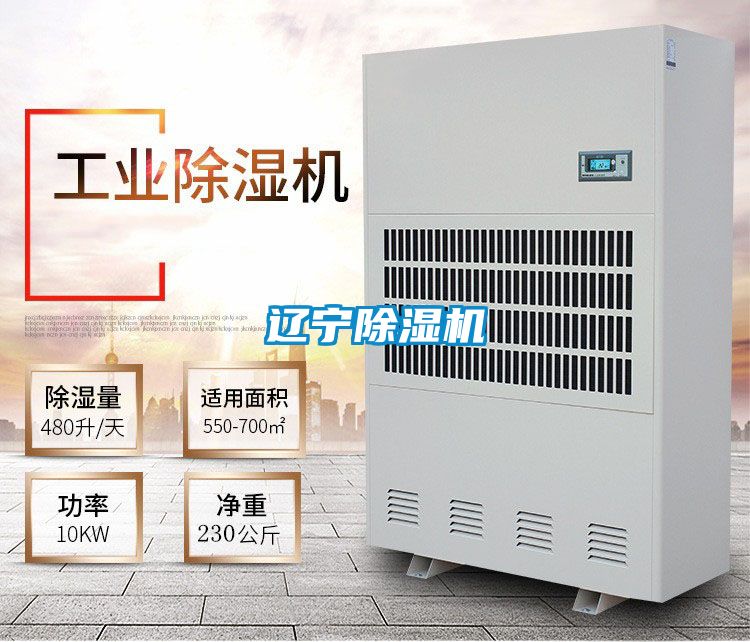 辽宁草莓视频APP在线观看