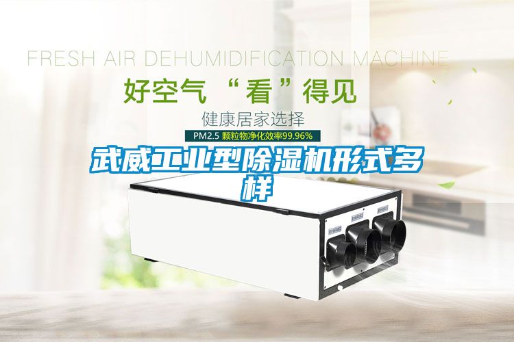 武威工业型草莓视频APP在线观看形式多样