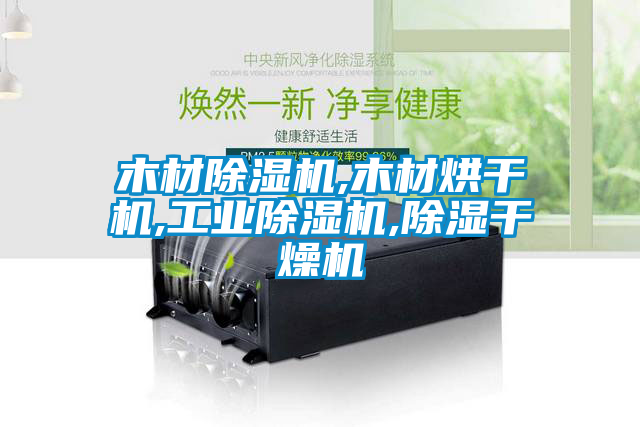 木材草莓视频APP在线观看,木材烘干机,工业草莓视频APP在线观看,除湿干燥机