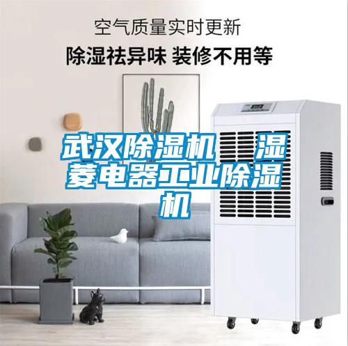 武汉草莓视频APP在线观看  湿菱电器工业草莓视频APP在线观看