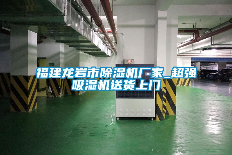 福建龙岩市草莓视频APP在线观看厂家_超强吸湿机送货上门
