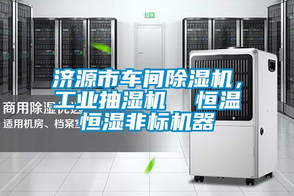 济源市车间草莓视频APP在线观看，工业抽湿机  恒温恒湿非标机器