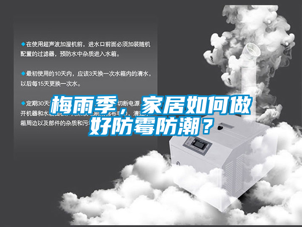 梅雨季，家居如何做好防霉防潮？
