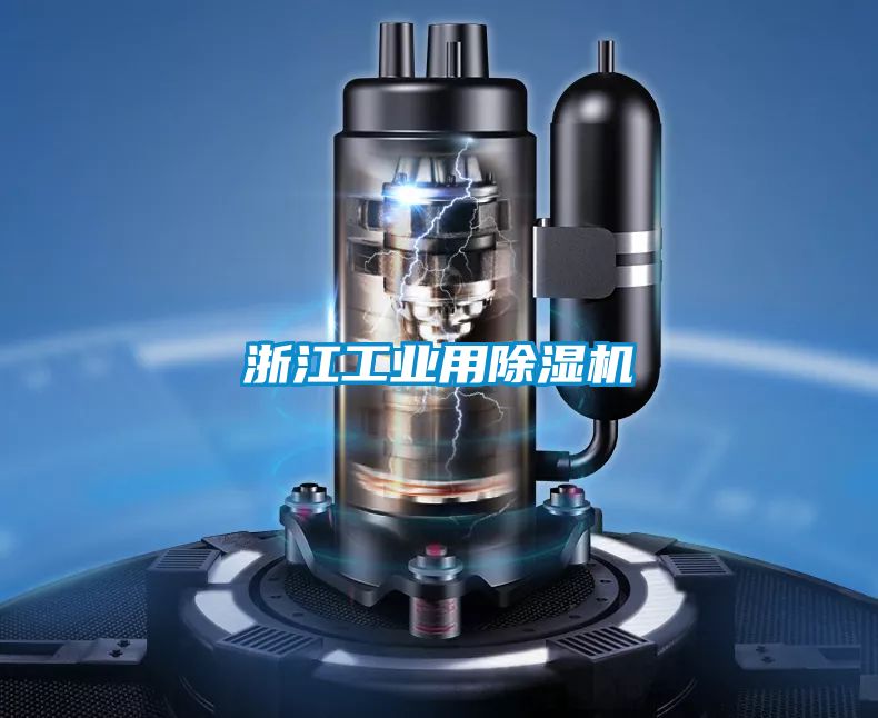 浙江工业用草莓视频APP在线观看