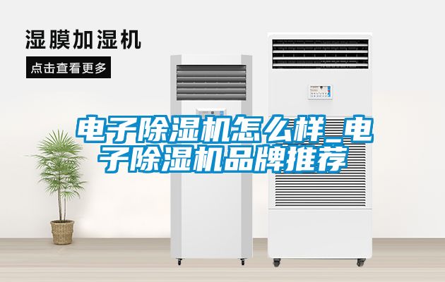 电子草莓视频APP在线观看怎么样_电子草莓视频APP在线观看品牌推荐