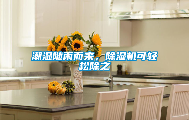 潮湿随雨而来，草莓视频APP在线观看可轻松除之