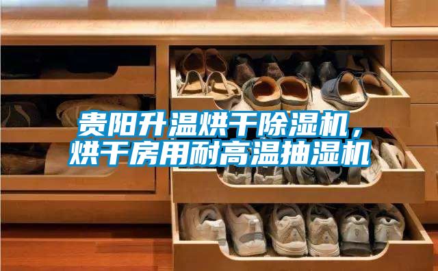贵阳升温烘干草莓视频APP在线观看，烘干房用耐高温抽湿机