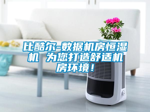 比酷尔-数据机房恒湿机 为您打造舒适机房环境！