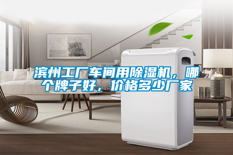 滨州工厂车间用草莓视频APP在线观看，哪个牌子好，价格多少厂家