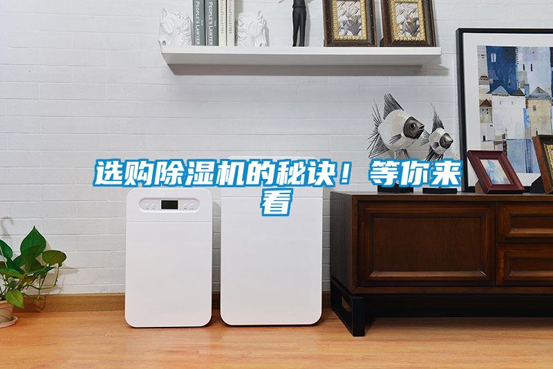 选购草莓视频APP在线观看的秘诀！等你来看