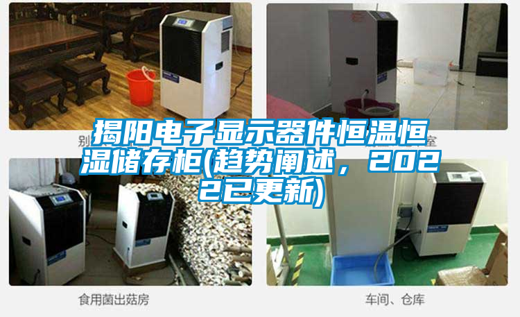 揭阳电子显示器件恒温恒湿储存柜(趋势阐述，2022已更新)