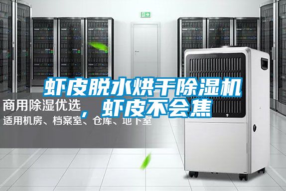 虾皮脱水烘干草莓视频APP在线观看，虾皮不会焦