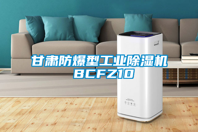 甘肃防爆型工业草莓视频APP在线观看 BCFZ10