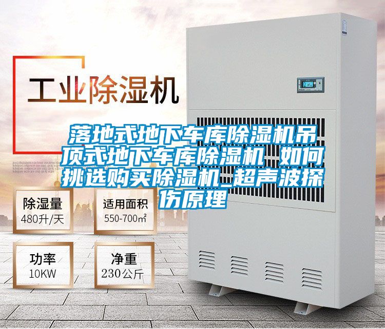 落地式地下车库草莓视频APP在线观看吊顶式地下车库草莓视频APP在线观看 如何挑选购买草莓视频APP在线观看_超声波探伤原理