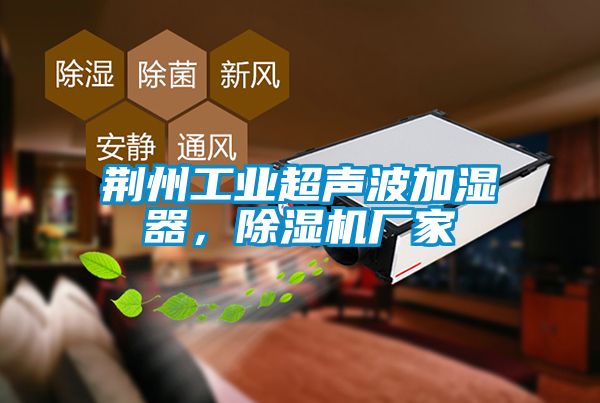 荆州工业超声波加湿器，草莓视频APP在线观看厂家