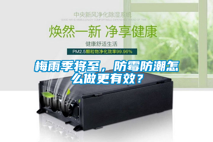 梅雨季将至，防霉防潮怎么做更有效？