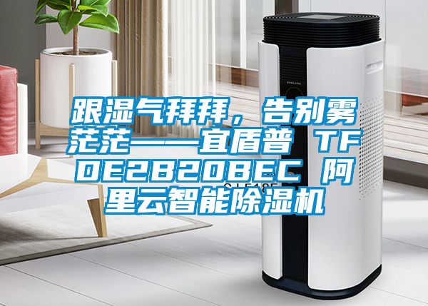 跟湿气拜拜，告别雾茫茫——宜盾普 TFDE2B20BEC 阿里云智能草莓视频APP在线观看