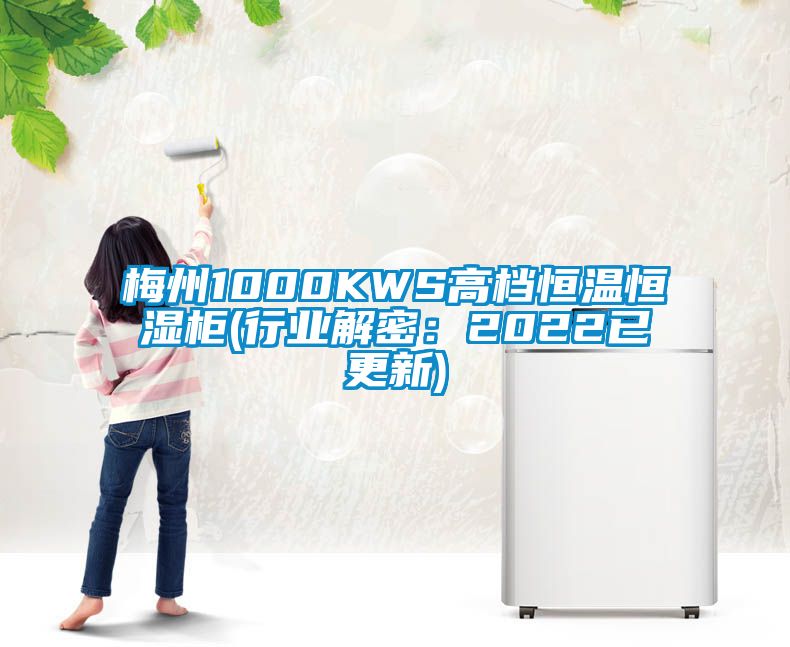 梅州1000KWS高档恒温恒湿柜(行业解密：2022已更新)
