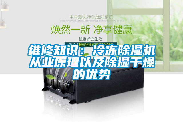 维修知识：冷冻草莓视频APP在线观看从业原理以及除湿干燥的优势
