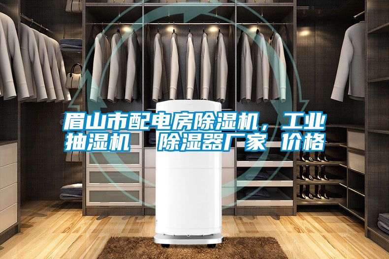 眉山市配电房草莓视频APP在线观看，工业抽湿机  除湿器厂家 价格