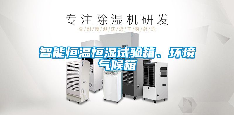 智能恒温恒湿试验箱、环境气候箱