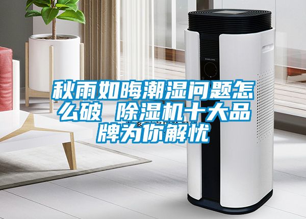 秋雨如晦潮湿问题怎么破 草莓视频APP在线观看十大品牌为你解忧