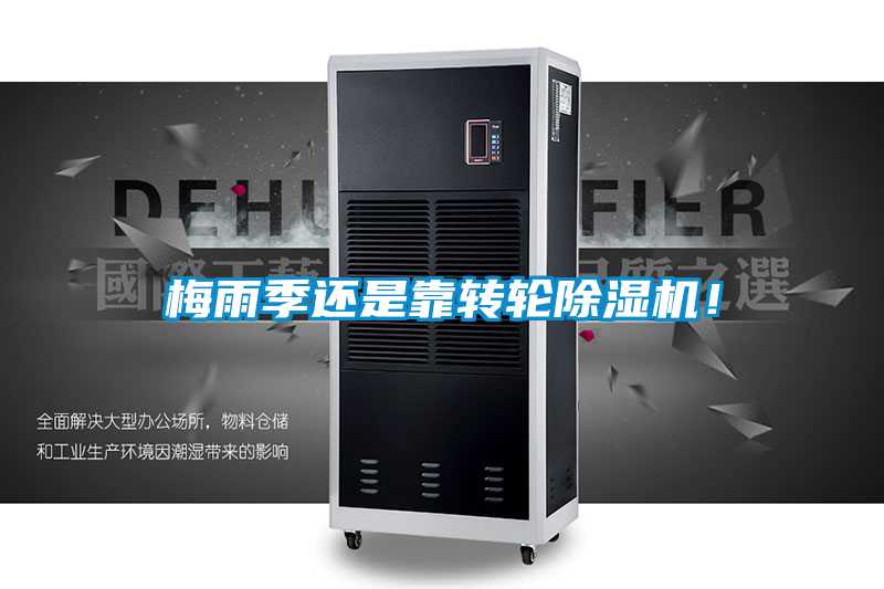 梅雨季还是靠转轮草莓视频APP在线观看！