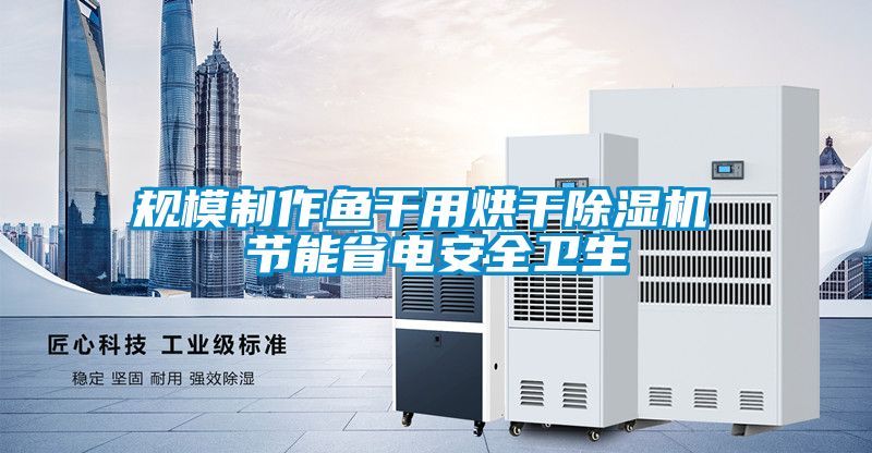 规模制作鱼干用烘干草莓视频APP在线观看 节能省电安全卫生