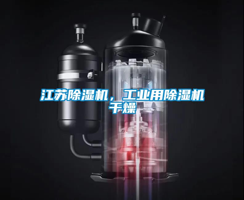江苏草莓视频APP在线观看，工业用草莓视频APP在线观看干燥
