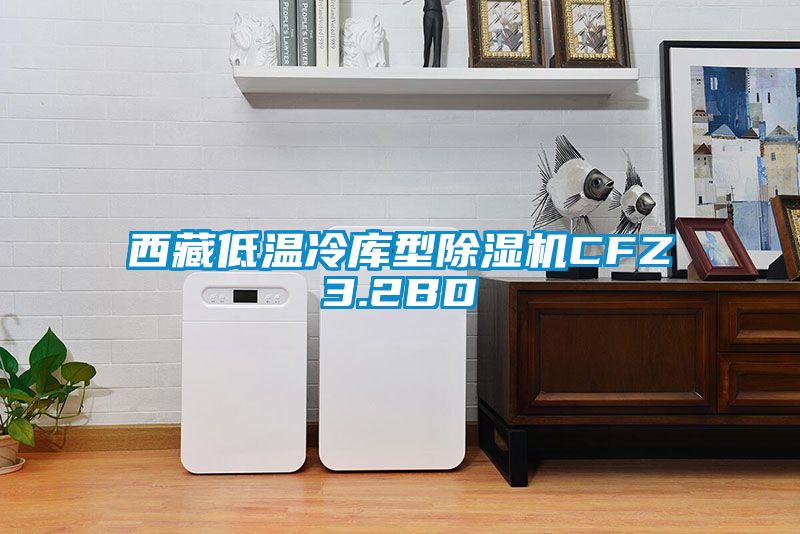 西藏低温冷库型草莓视频APP在线观看CFZ3.2BD