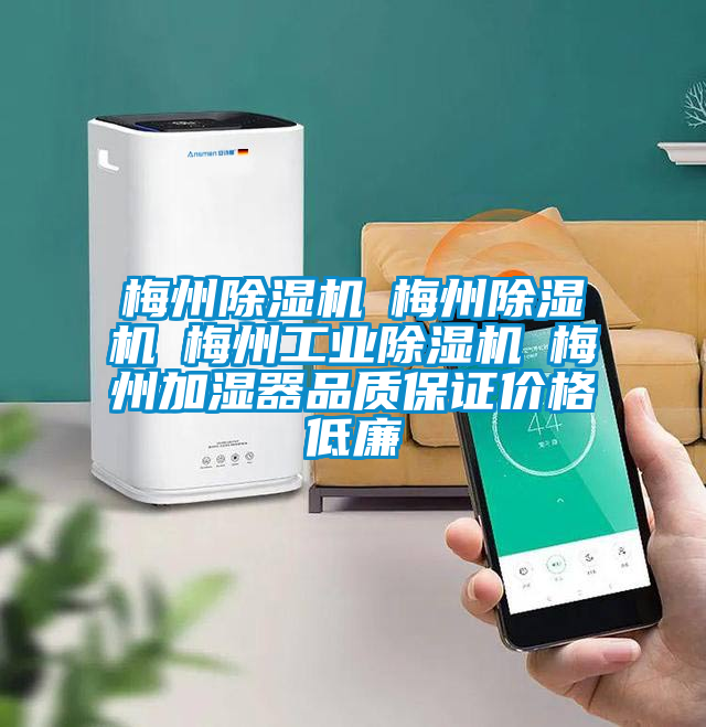 梅州草莓视频APP在线观看☆梅州草莓视频APP在线观看☆梅州工业草莓视频APP在线观看☆梅州加湿器品质保证价格低廉