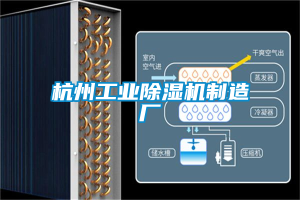 杭州工业草莓视频APP在线观看制造厂