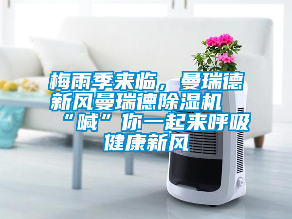 梅雨季来临，曼瑞德新风曼瑞德草莓视频APP在线观看“喊”你一起来呼吸健康新风
