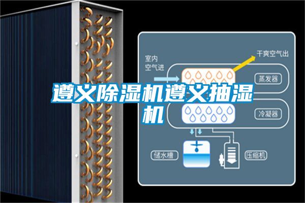 遵义草莓视频APP在线观看遵义抽湿机