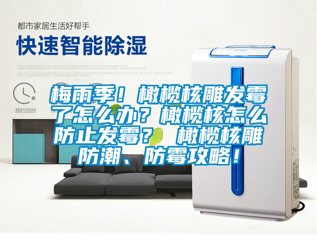 梅雨季！橄榄核雕发霉了怎么办？橄榄核怎么防止发霉？ 橄榄核雕防潮、防霉攻略！