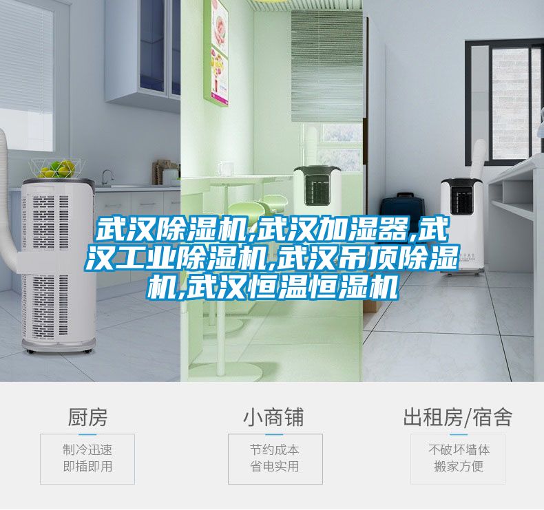 武汉草莓视频APP在线观看,武汉加湿器,武汉工业草莓视频APP在线观看,武汉吊顶草莓视频APP在线观看,武汉恒温恒湿机