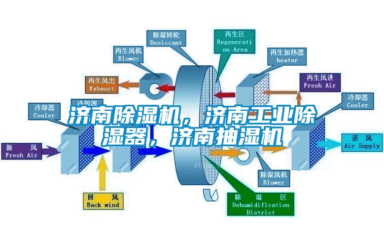 济南草莓视频APP在线观看，济南工业除湿器，济南抽湿机