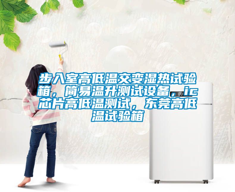步入室高低温交变湿热试验箱，简易温升测试设备，ic芯片高低温测试，东莞高低温试验箱