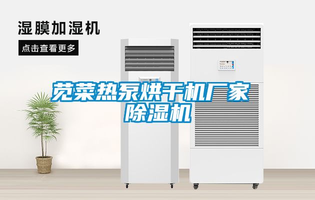 苋菜热泵烘干机厂家 草莓视频APP在线观看