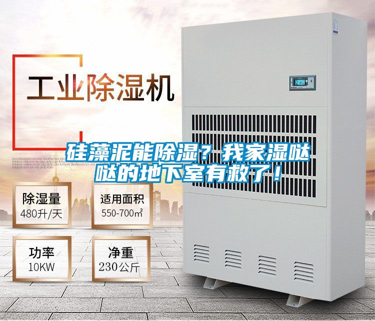 硅藻泥能除湿？我家湿哒哒的地下室有救了！