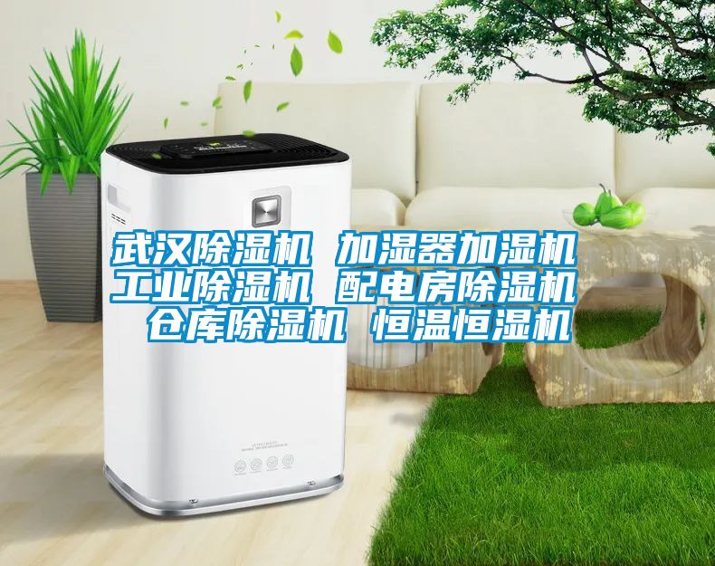 武汉草莓视频APP在线观看 加湿器加湿机 工业草莓视频APP在线观看 配电房草莓视频APP在线观看 仓库草莓视频APP在线观看 恒温恒湿机