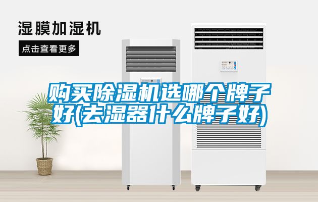 购买草莓视频APP在线观看选哪个牌子好(去湿器什么牌子好)