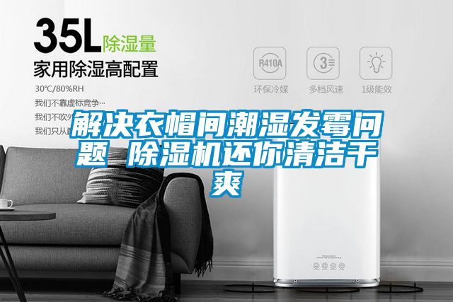 解决衣帽间潮湿发霉问题 草莓视频APP在线观看还你清洁干爽