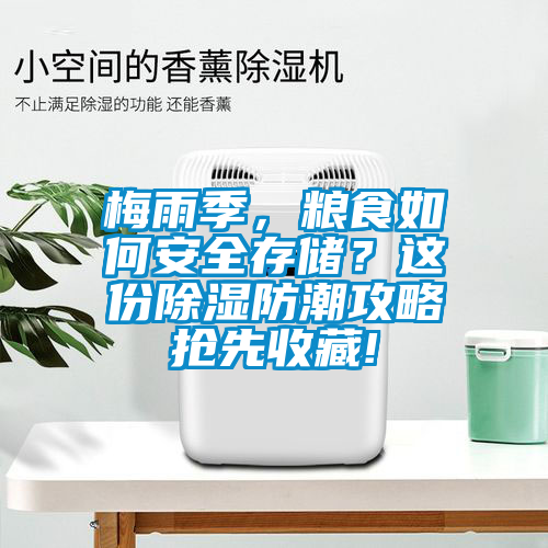 梅雨季，粮食如何安全存储？这份除湿防潮攻略抢先收藏!