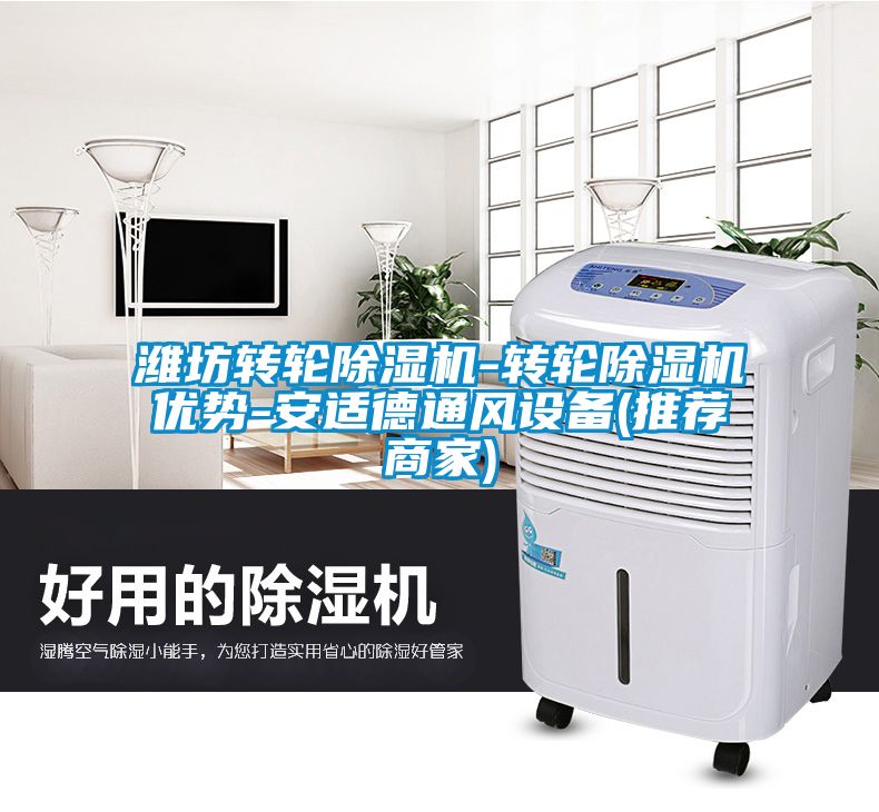 潍坊转轮草莓视频APP在线观看-转轮草莓视频APP在线观看优势-安适德通风设备(推荐商家)