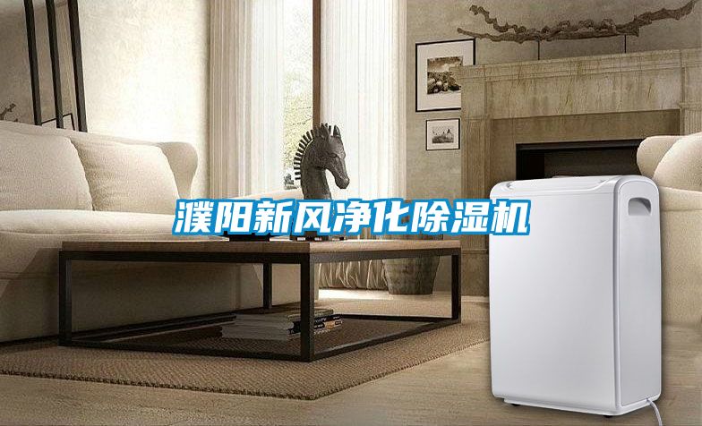 濮阳新风净化草莓视频APP在线观看
