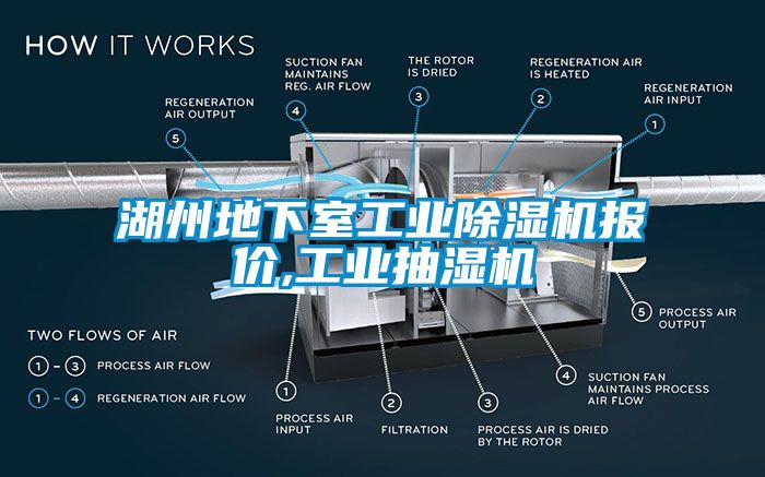 湖州地下室工业草莓视频APP在线观看报价,工业抽湿机